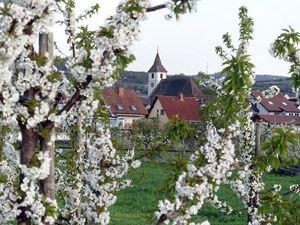 19122590-Ferienwohnung-4-Endingen am Kaiserstuhl-300x225-2