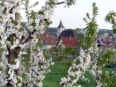 Ferienwohnung für 4 Personen (84 m²) in Endingen am Kaiserstuhl 3/10