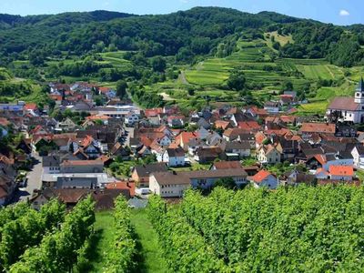 Ferienwohnung für 4 Personen (90 m²) in Endingen am Kaiserstuhl 4/10