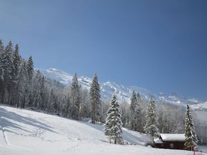 23840775-Ferienwohnung-8-Engelberg-300x225-4