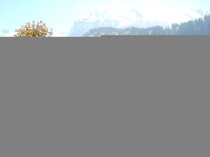 23843590-Ferienwohnung-4-Engelberg-300x225-4