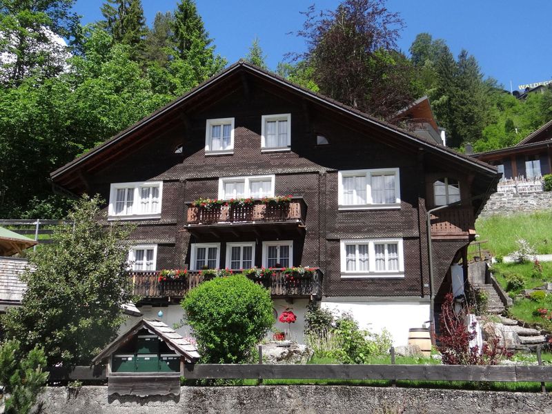 23838582-Ferienwohnung-4-Engelberg-800x600-0