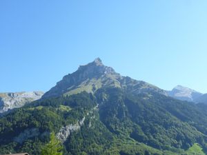 23839156-Ferienwohnung-6-Engelberg-300x225-2