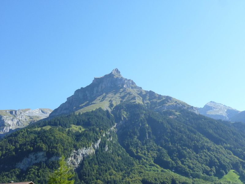 23839156-Ferienwohnung-6-Engelberg-800x600-2