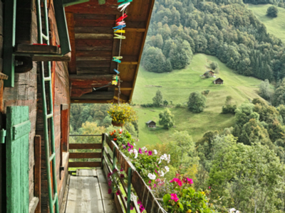 Blick vom Balkon