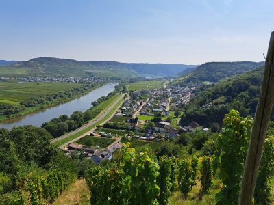 Blick auf das Weindorf Ensch