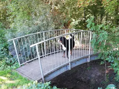 Ferienwohnung für 4 Personen (52 m²) in Ensheim 8/10