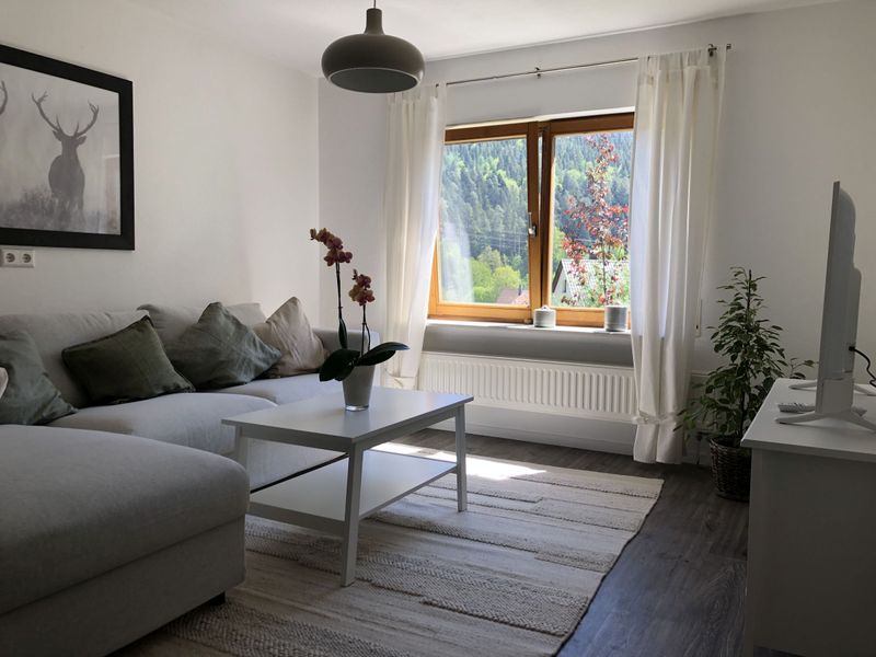 23479096-Ferienwohnung-4-Enzklösterle-800x600-2