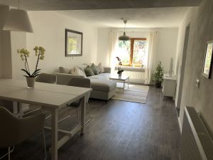 23479096-Ferienwohnung-4-Enzklösterle-300x225-4