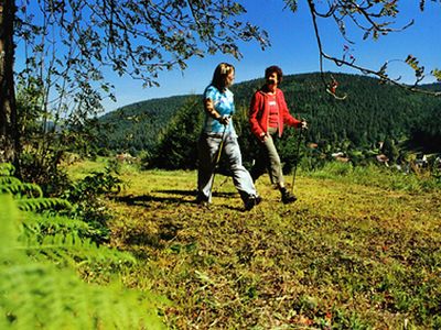 Wandern - Nordicwalking