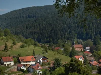Ferienwohnung für 2 Personen (30 m²) in Enzklösterle 10/10