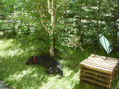Garten. Bild 14