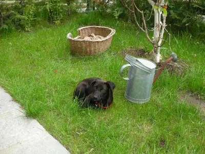 Bild 5