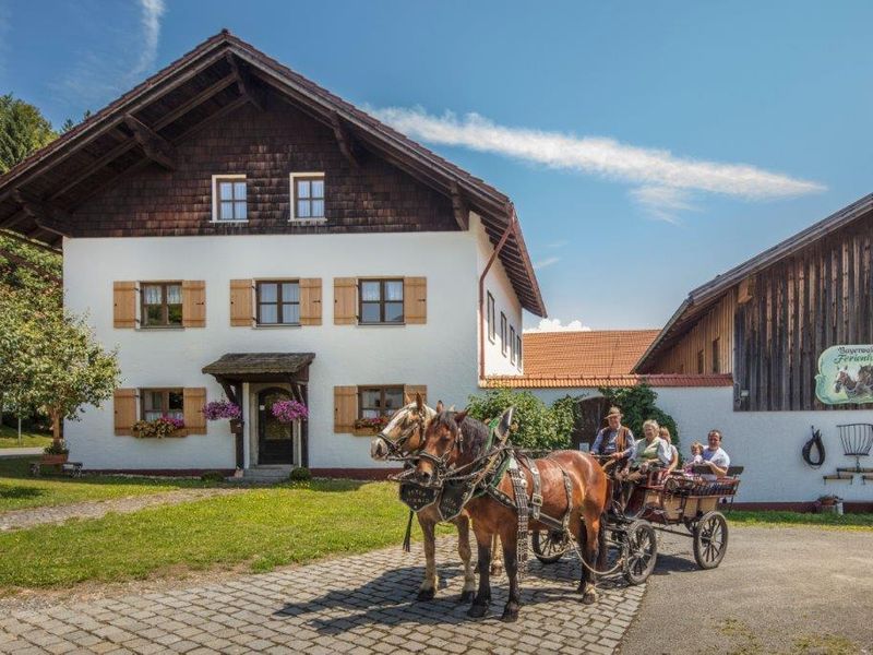 18704920-Ferienwohnung-4-Eppenschlag-800x600-1