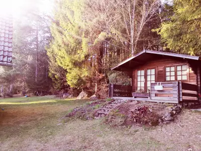 Ferienwohnung für 6 Personen (67 m²) in Eppenschlag 4/10