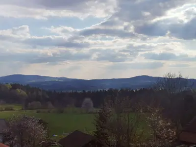 Ferienwohnung für 6 Personen (67 m²) in Eppenschlag 7/10