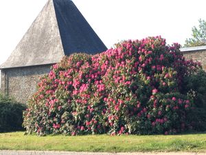 23911670-Ferienwohnung-2-Équilly-300x225-4