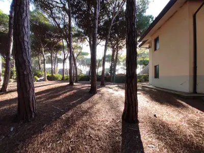 Ferienwohnung für 6 Personen (55 m²) in Eraclea Mare 4/10
