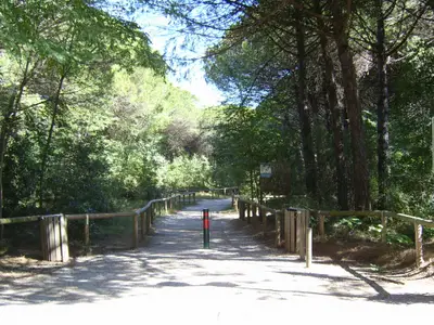 Ferienwohnung für 6 Personen (52 m²) in Eraclea Mare 9/10