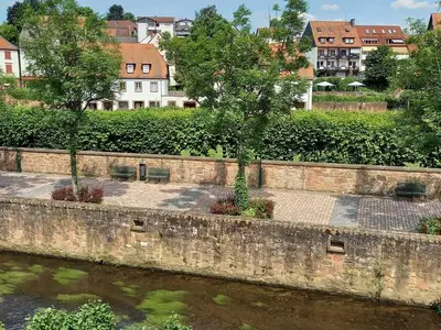 Ferienwohnung für 5 Personen (55 m²) in Erbach 3/10