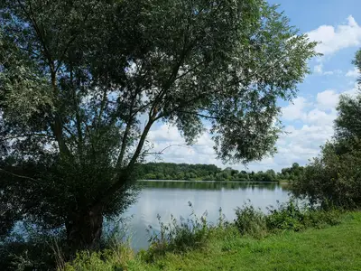 Ferienwohnung für 5 Personen (60 m²) in Erbach (Baden-Württemberg) 9/9