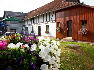 Ferienwohnung für 4 Personen (65 m²) in Erbach 1/10