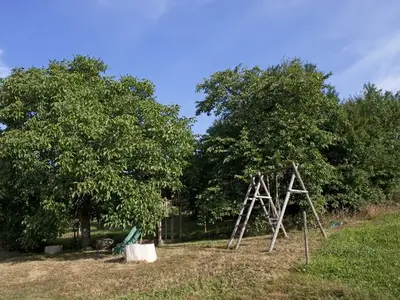 Ferienwohnung für 4 Personen (65 m²) in Erbach 4/10