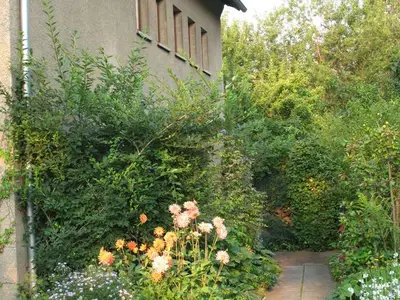 Ferienwohnung für 4 Personen (74 m²) in Erfurt 3/10