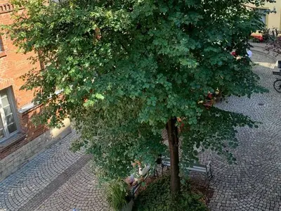 Ferienwohnung für 2 Personen (34 m²) in Erfurt 4/10