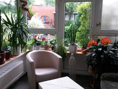 Ferienwohnung für 2 Personen (40 m²) in Erfurt 5/10