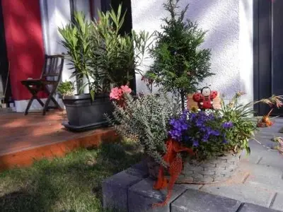Ferienwohnung für 3 Personen (50 m²) in Erfurt 2/10
