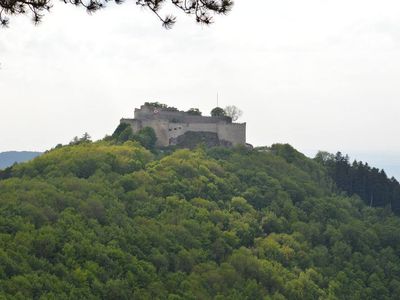 Blick auf Burg Hohenneuffen