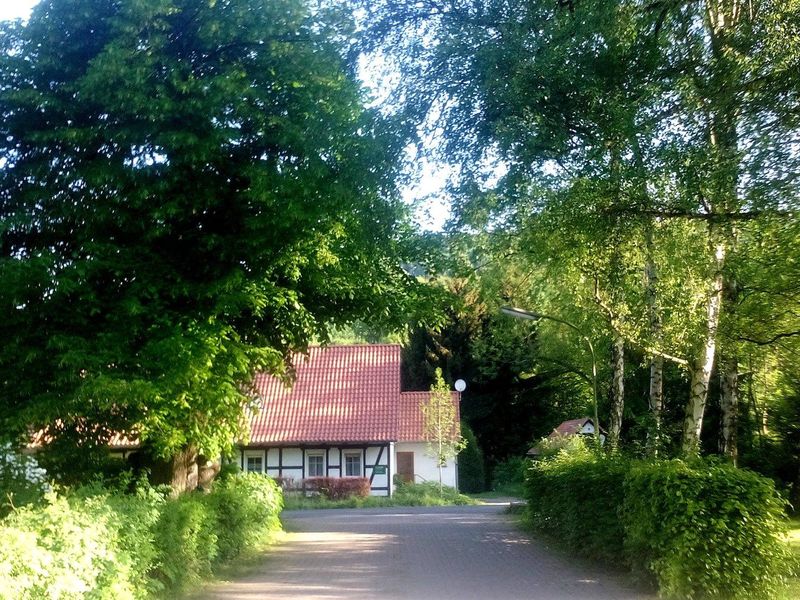 23347465-Ferienwohnung-2-Erkerode-800x600-0