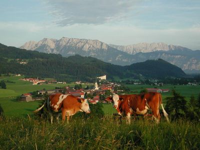 Appartements Osterauer, Blick vom Kalvarienberg