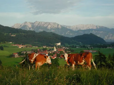 Appartements Osterauer, Blick vom Kalvarienberg