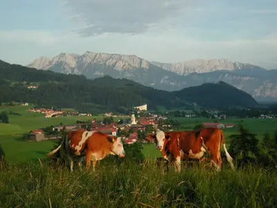 Appartements Osterauer, Blick vom Kalvarienberg