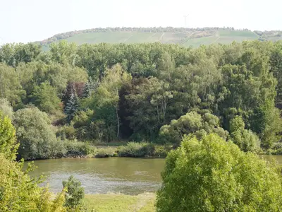 Ferienwohnung Exklusiv Aussicht vom Balkon