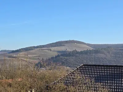 Thüngersheimer Weinberge
