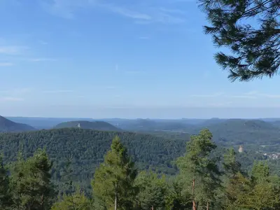 Ferienwohnung für 4 Personen (65 m²) in Erlenbach 8/10