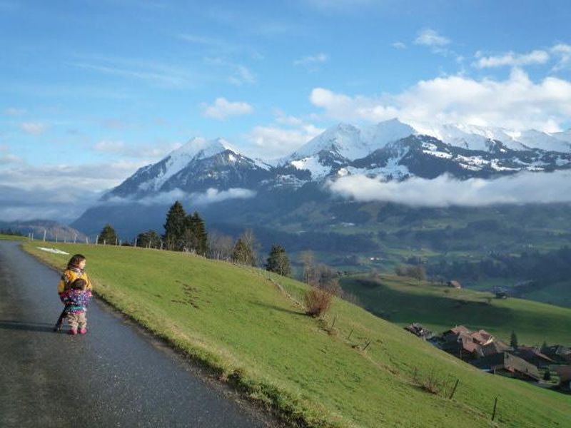 19052883-Ferienwohnung-7-Erlenbach im Simmental-800x600-1