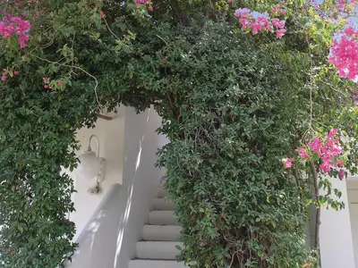 outside
