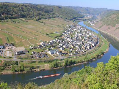 Blick auf den Weinort in Richtung Cochem