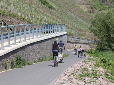 Radweg Valwig-Bruttig-Fankel, direkt am Moselufer