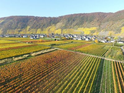 Herbststimmung bei Ernst