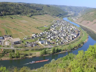 Blick auf den Weinort in Richtung Cochem