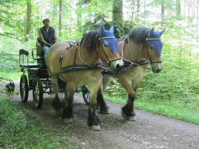Bild 18