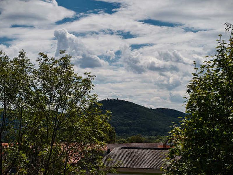 22462359-Ferienwohnung-2-Eschwege-800x600-2