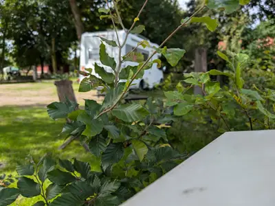 Wohnmobil Stellplatz