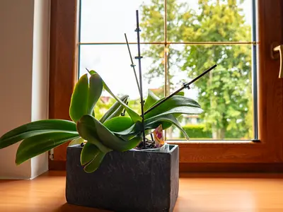 Blick von der Wohnküche