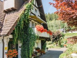 Ferienwohnung für 11 Personen (170 m&sup2;) in Eslohe